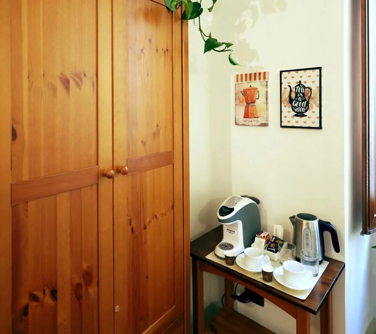 Cataneasy Rooms